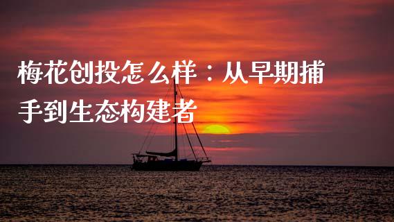 梅花创投怎么样：从早期捕手到生态构建者_https://cj001.lansai.wang_期货问答_第1张