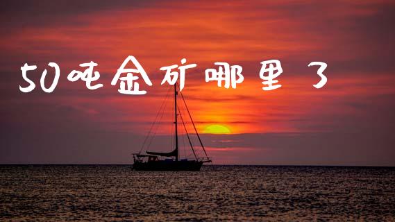 50吨金矿哪里了_https://cj001.lansai.wang_金融问答_第1张