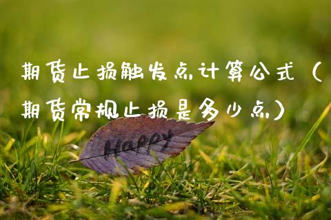 期货止损触发点计算公式（期货常规止损是多少点）_https://cj001.lansai.wang_理财问答_第1张