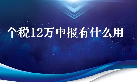 个税12万申报有什么用_https://cj001.lansai.wang_会计问答_第1张