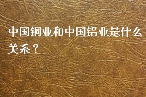 中国铜业和中国铝业是什么关系？_https://cj001.lansai.wang_财经百问_第1张