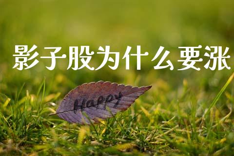 影子股为什么要涨_https://cj001.lansai.wang_会计问答_第1张