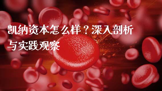 凯纳资本怎么样？深入剖析与实践观察_https://cj001.lansai.wang_保险问答_第1张