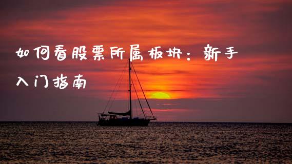 如何看股票所属板块:新手入门指南_期货问答_第1张_财经百问网 如何看股票所属板块:新手入门指南_https://cj001.lansai.wang_期货问答_第1张