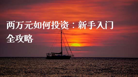 两万元如何投资：新手入门全攻略_https://cj001.lansai.wang_期货问答_第1张