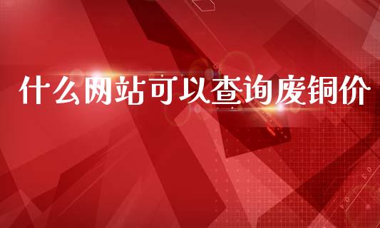 什么网站可以查询废铜价_https://cj001.lansai.wang_会计问答_第1张