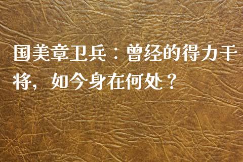国美章卫兵：曾经的得力干将，如今身在何处？_https://cj001.lansai.wang_保险问答_第1张