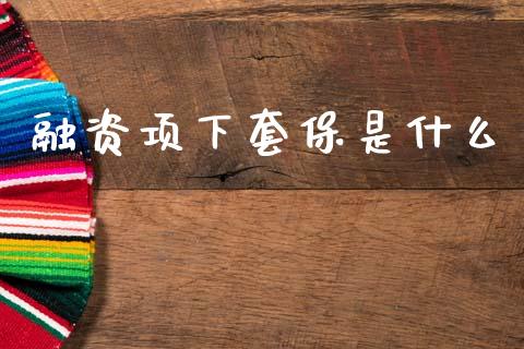 融资项下套保是什么_https://cj001.lansai.wang_金融问答_第1张