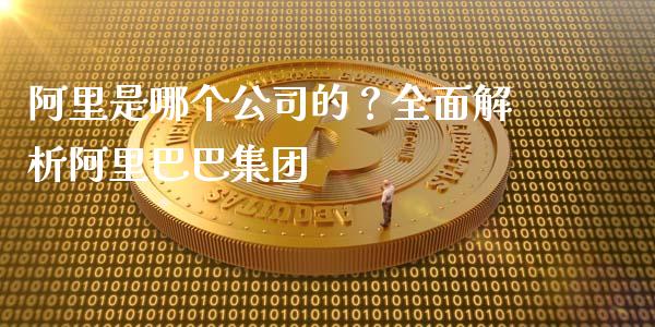 阿里是哪个公司的？全面解析阿里巴巴集团_https://cj001.lansai.wang_保险问答_第1张