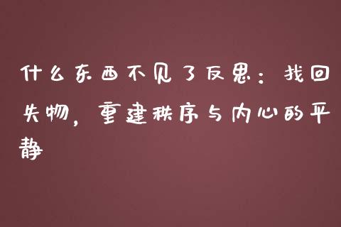 什么东西不见了反思：找回失物，重建秩序与内心的平静_https://cj001.lansai.wang_财经百问_第1张