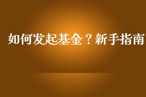 如何发起基金？新手指南_https://cj001.lansai.wang_理财问答_第1张