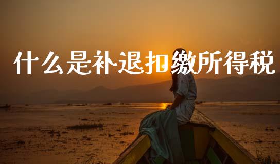 什么是补退扣缴所得税_https://cj001.lansai.wang_会计问答_第1张