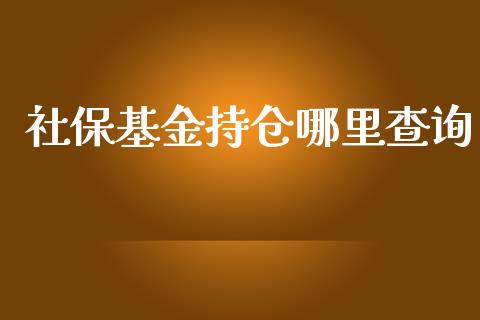 社保基金持仓哪里查询_https://cj001.lansai.wang_财经问答_第1张