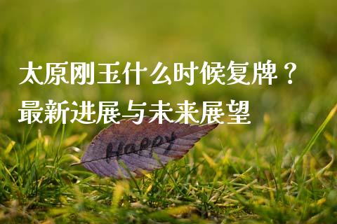 太原刚玉什么时候复牌？ 最新进展与未来展望_https://cj001.lansai.wang_理财问答_第1张