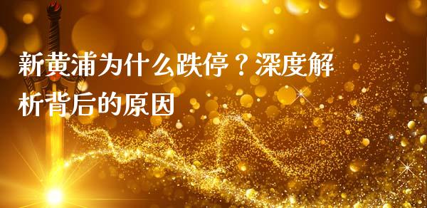 新黄浦为什么跌停？深度解析背后的原因_https://cj001.lansai.wang_金融问答_第1张