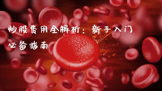 炒股费用全解析:新手入门必备指南_金融问答_第1张_财经百问网 炒股费用全解析:新手入门必备指南_https://cj001.lansai.wang_金融问答_第1张