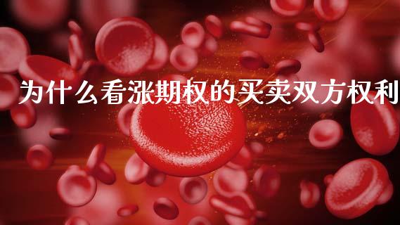 为什么看涨期权的买卖双方权利_https://cj001.lansai.wang_理财问答_第1张