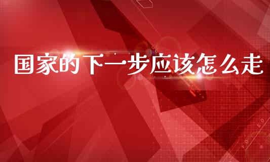 国家的下一步应该怎么走_https://cj001.lansai.wang_金融问答_第1张