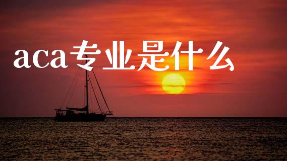 aca专业是什么_https://cj001.lansai.wang_会计问答_第1张