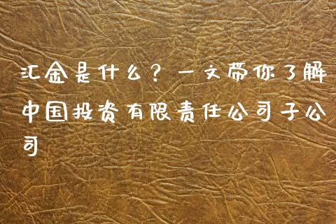 汇金是什么？一文带你了解中国投资有限责任公司子公司_https://cj001.lansai.wang_期货问答_第1张