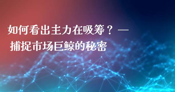 如何看出主力在吸筹？ — 捕捉市场巨鲸的秘密_https://cj001.lansai.wang_保险问答_第1张