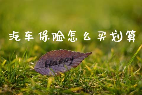 汽车保险怎么买划算_https://cj001.lansai.wang_保险问答_第1张