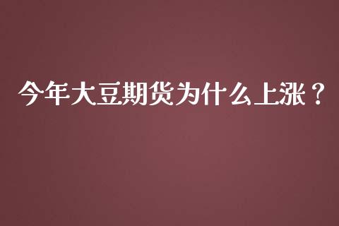 今年大豆期货为什么上涨？_https://cj001.lansai.wang_保险问答_第1张