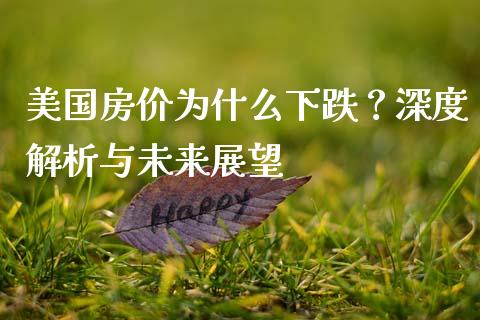 美国房价为什么下跌？深度解析与未来展望_https://cj001.lansai.wang_期货问答_第1张