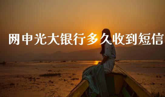 网申光大银行多久收到短信_https://cj001.lansai.wang_理财问答_第1张