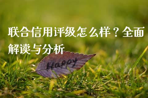联合信用评级怎么样？全面解读与分析_https://cj001.lansai.wang_保险问答_第1张