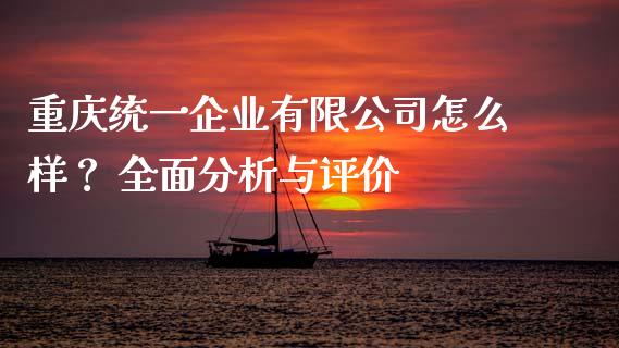 重庆统一企业有限公司怎么样？ 全面分析与评价_https://cj001.lansai.wang_会计问答_第1张