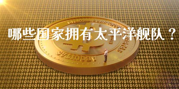 哪些国家拥有太平洋舰队？_https://cj001.lansai.wang_股市问答_第1张