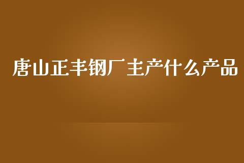 唐山正丰钢厂主产什么产品_https://cj001.lansai.wang_财经问答_第1张