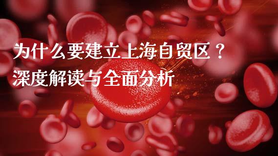 为什么要建立上海自贸区？深度解读与全面分析_https://cj001.lansai.wang_财经问答_第1张