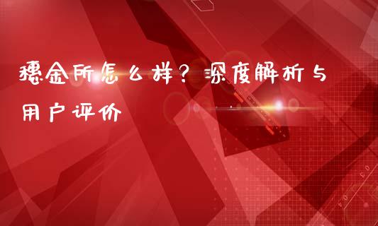 穗金所怎么样？深度解析与用户评价_https://cj001.lansai.wang_理财问答_第1张