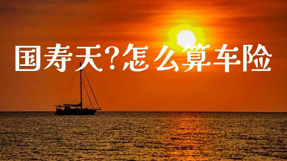国寿天?怎么算车险_https://cj001.lansai.wang_保险问答_第1张