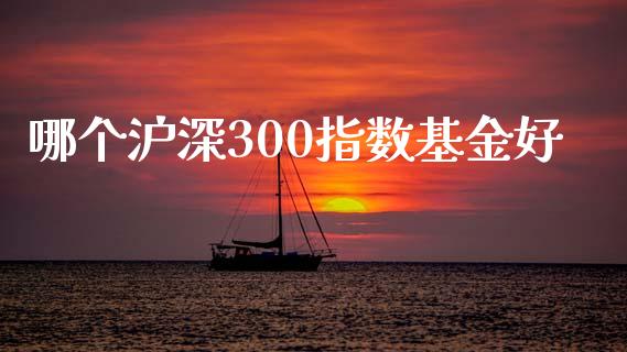 哪个沪深300指数基金好_https://cj001.lansai.wang_理财问答_第1张