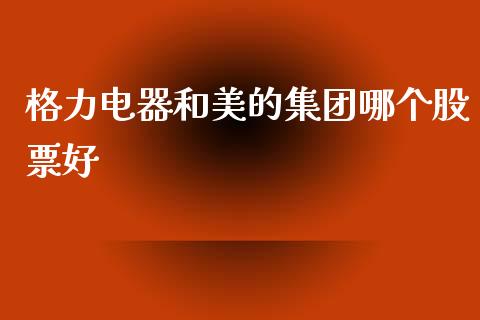 格力电器和美的集团哪个股票好_https://cj001.lansai.wang_财经百问_第1张