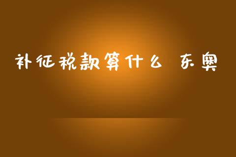补征税款算什么 东奥_https://cj001.lansai.wang_会计问答_第1张