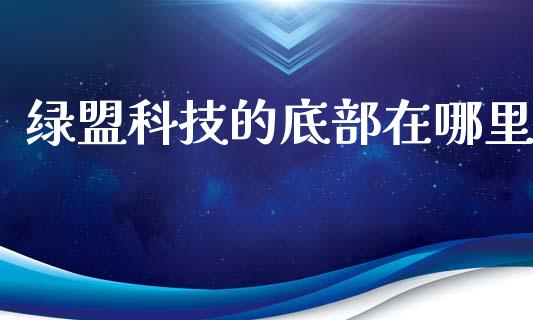 绿盟科技的底部在哪里_https://cj001.lansai.wang_股市问答_第1张