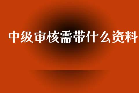 中级审核需带什么资料_https://cj001.lansai.wang_会计问答_第1张