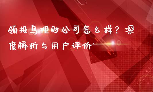 领投鸟理财公司怎么样？深度解析与用户评价_https://cj001.lansai.wang_理财问答_第1张