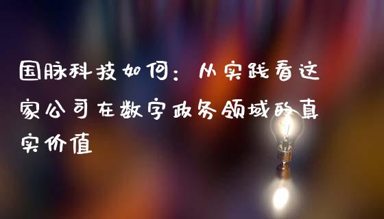 国脉科技如何：从实践看这家公司在数字政务领域的真实价值_https://cj001.lansai.wang_股市问答_第1张