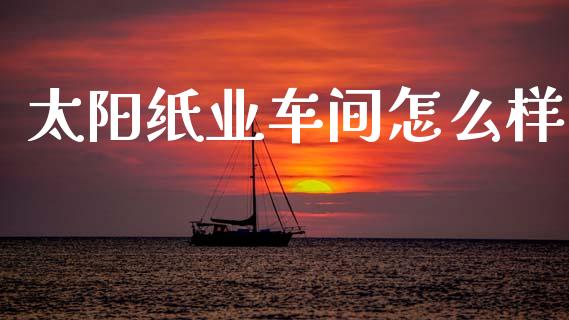 太阳纸业车间怎么样_https://cj001.lansai.wang_股市问答_第1张
