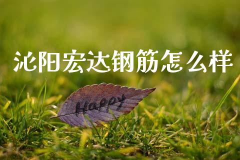 沁阳宏达钢筋怎么样_https://cj001.lansai.wang_金融问答_第1张