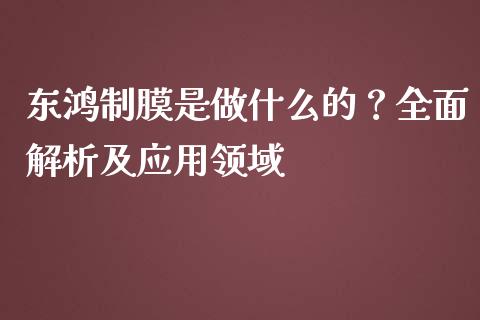 东鸿制膜是做什么的？全面解析及应用领域_https://cj001.lansai.wang_股市问答_第1张
