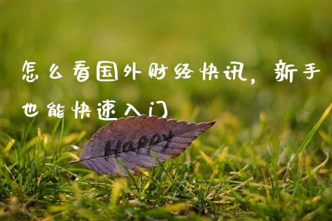 怎么看国外财经快讯,新手也能快速入门_财经百问_第1张_财经百问网 怎么看国外财经快讯,新手也能快速入门_https://cj001.lansai.wang_财经百问_第1张