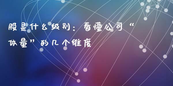 股是什么级别：看懂公司“体量”的几个维度_https://cj001.lansai.wang_金融问答_第1张