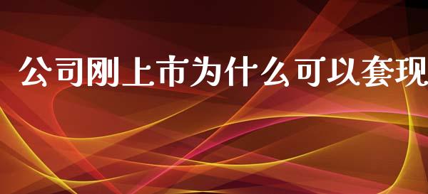 公司刚上市为什么可以套现_https://cj001.lansai.wang_财经百问_第1张
