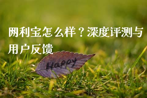 网利宝怎么样？深度评测与用户反馈_https://cj001.lansai.wang_股市问答_第1张